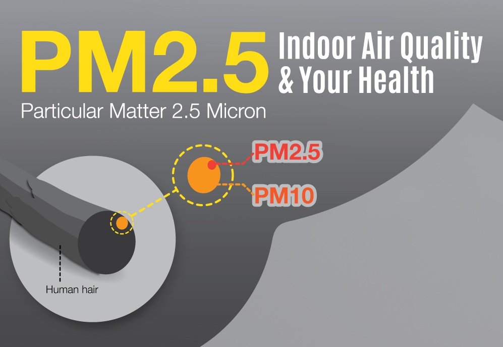 What Is PM 2.5